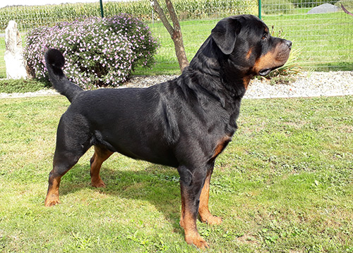 Aaron von der Teufelspratze