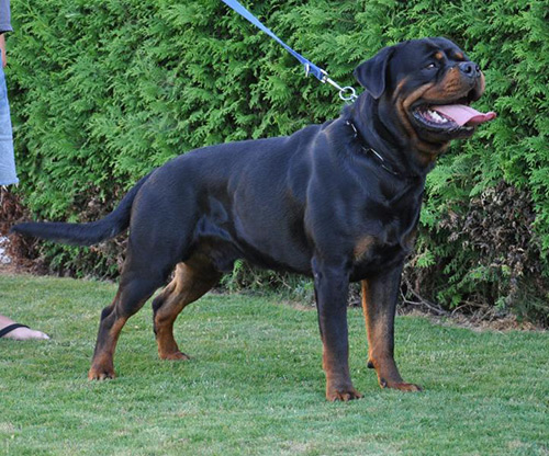 Xantos vom Bergwerksee